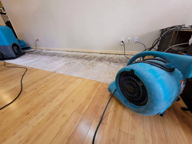 Professional Structural Drying technician working in Freistatt, MO